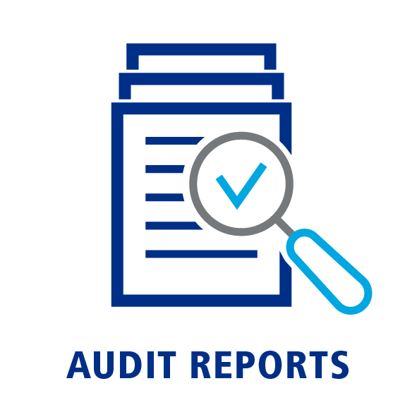 Audit Reports